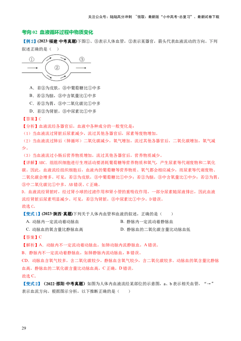 专题12人体内物质的运输（讲义）（解析版）_02中考总复习（2026版更新中）_08-生物-中考总复习_2024年中考复习资料_一轮复习_❤2024年中考生物一轮复习讲练测（全国通用）_讲义