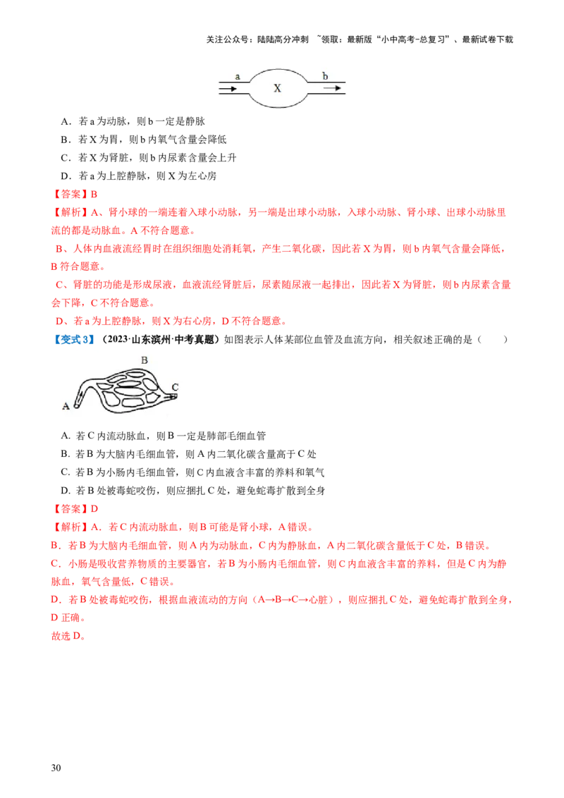 专题12人体内物质的运输（讲义）（解析版）_02中考总复习（2026版更新中）_08-生物-中考总复习_2024年中考复习资料_一轮复习_❤2024年中考生物一轮复习讲练测（全国通用）_讲义