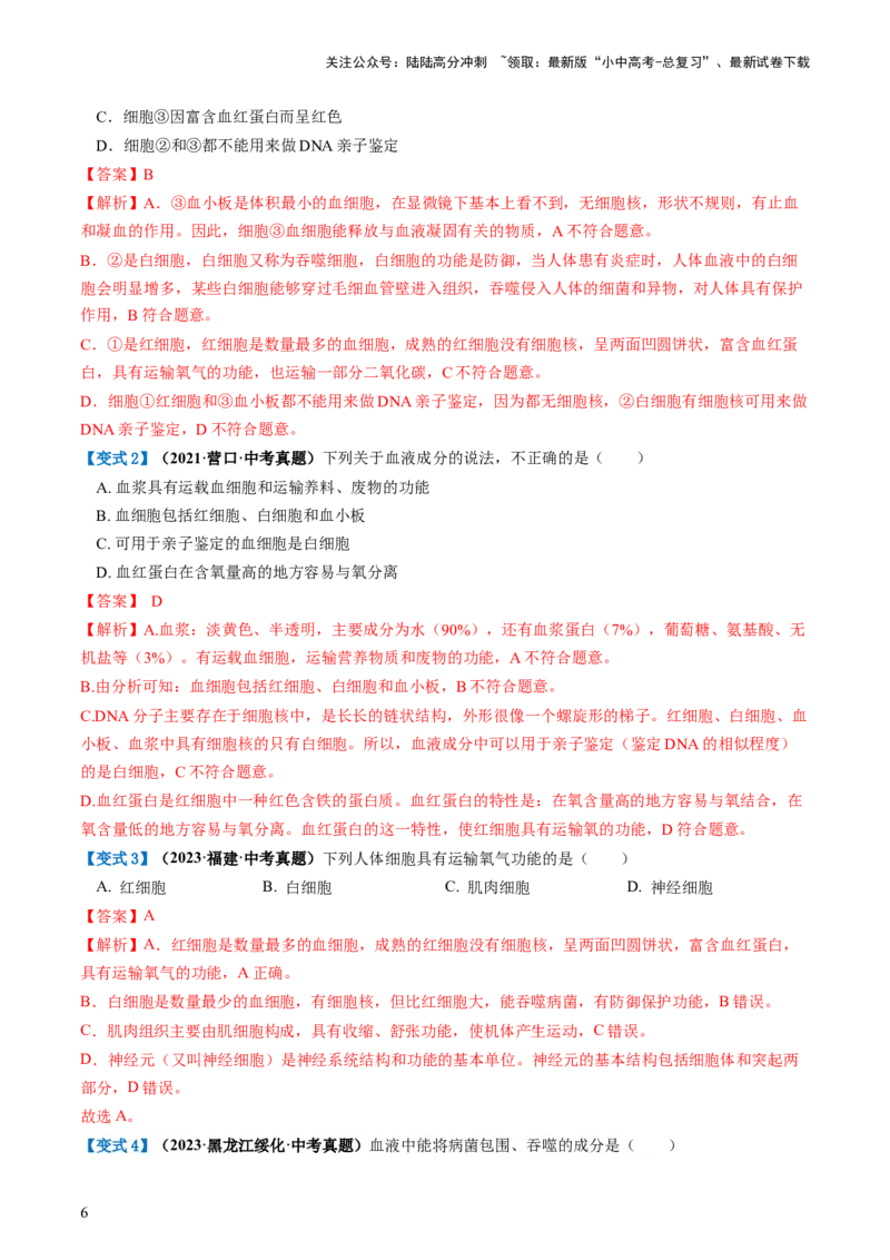 专题12人体内物质的运输（讲义）（解析版）_02中考总复习（2026版更新中）_08-生物-中考总复习_2024年中考复习资料_一轮复习_❤2024年中考生物一轮复习讲练测（全国通用）_讲义