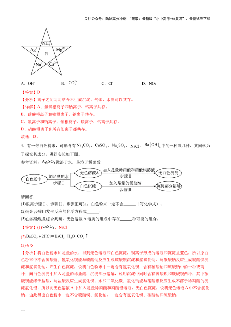 专题10常见的盐（练习）（解析版）_02中考总复习（2026版更新中）_05-化学-中考总复习_2025年中考复习资料_2025中考化学一轮复习讲义+课件_练习_专题10常见的盐（练习）