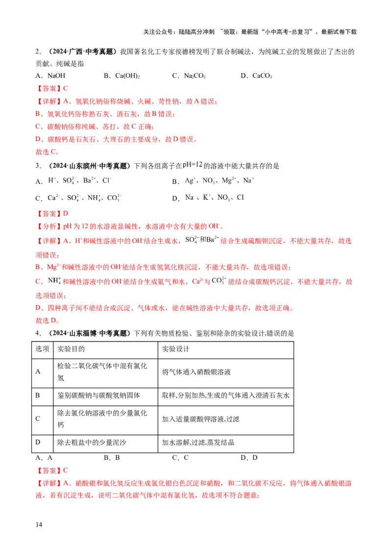 专题10常见的盐（练习）（解析版）_02中考总复习（2026版更新中）_05-化学-中考总复习_2025年中考复习资料_2025中考化学一轮复习讲义+课件_练习_专题10常见的盐（练习）