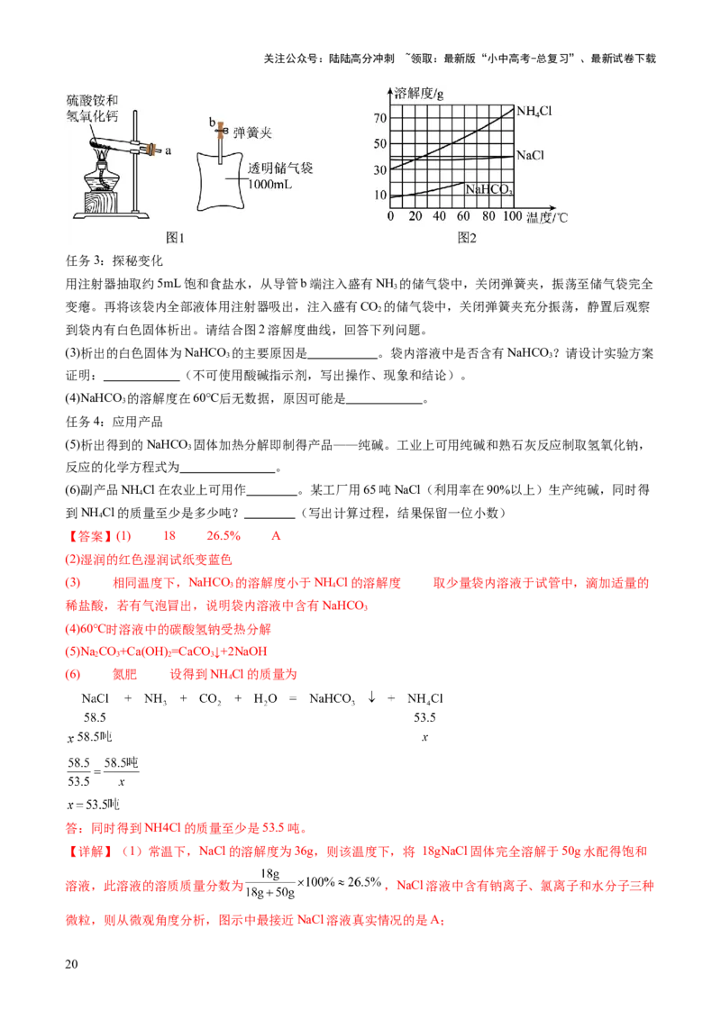专题10常见的盐（练习）（解析版）_02中考总复习（2026版更新中）_05-化学-中考总复习_2025年中考复习资料_2025中考化学一轮复习讲义+课件_练习_专题10常见的盐（练习）