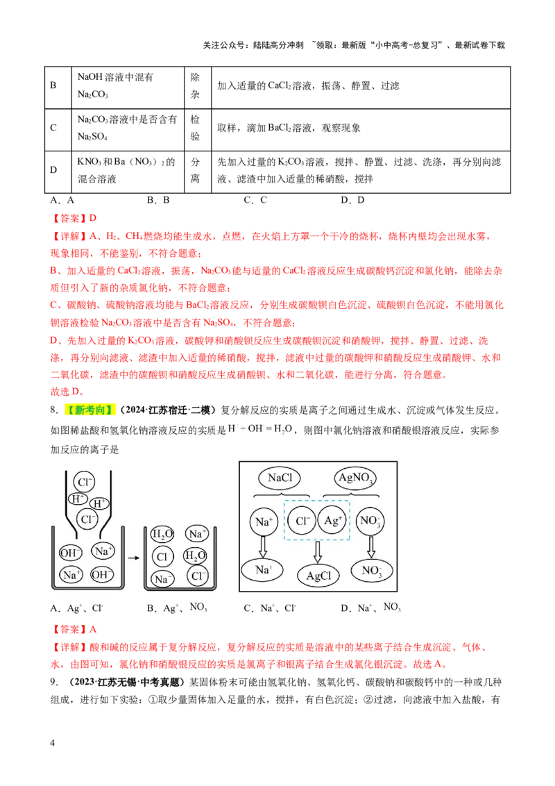 专题10常见的盐（练习）（解析版）_02中考总复习（2026版更新中）_05-化学-中考总复习_2025年中考复习资料_2025中考化学一轮复习讲义+课件_练习_专题10常见的盐（练习）
