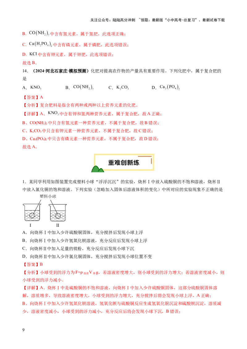 专题10常见的盐（练习）（解析版）_02中考总复习（2026版更新中）_05-化学-中考总复习_2025年中考复习资料_2025中考化学一轮复习讲义+课件_练习_专题10常见的盐（练习）