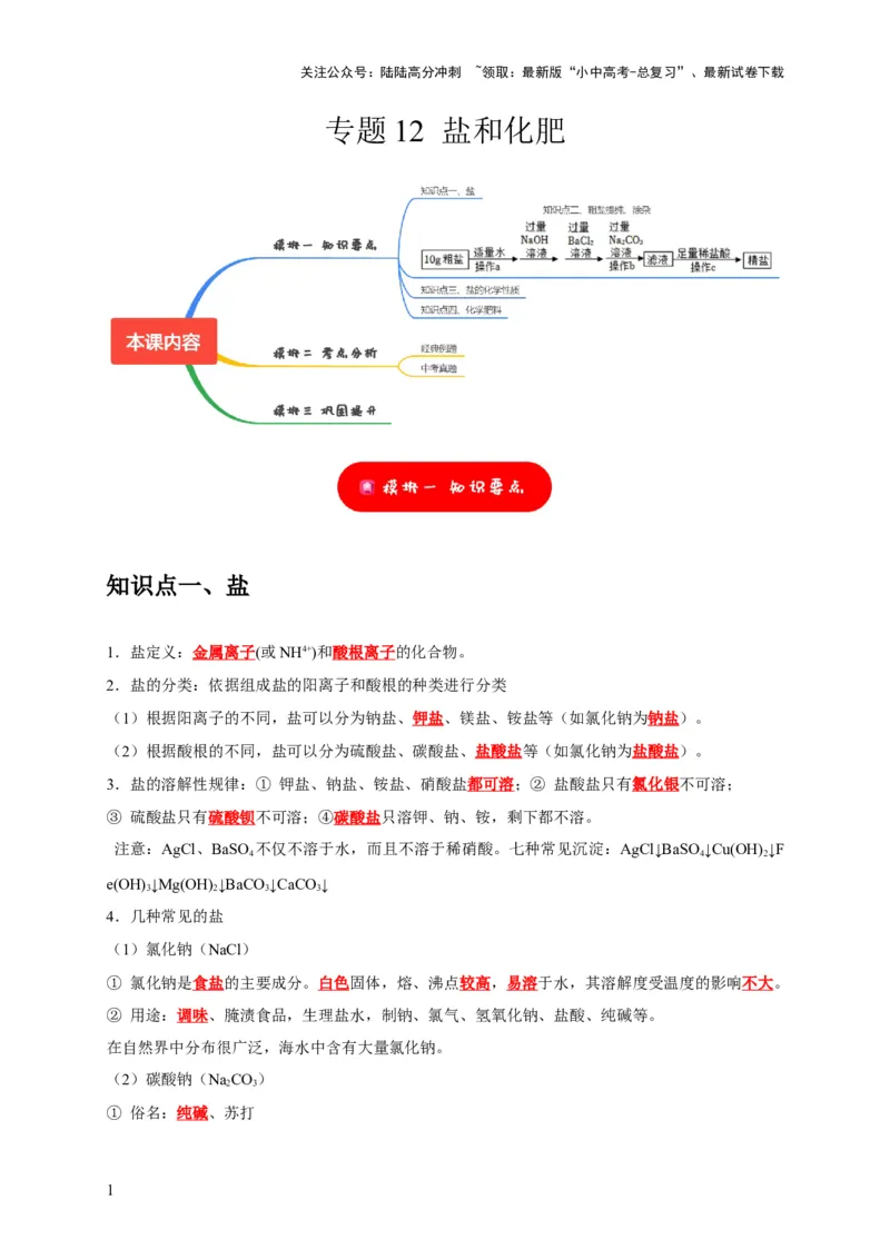 专题12盐和化肥（解析版）_02中考总复习（2026版更新中）_05-化学-中考总复习_2024年中考复习资料_专项复习资料_2024年中考化学复习考点一遍过（全国通用）