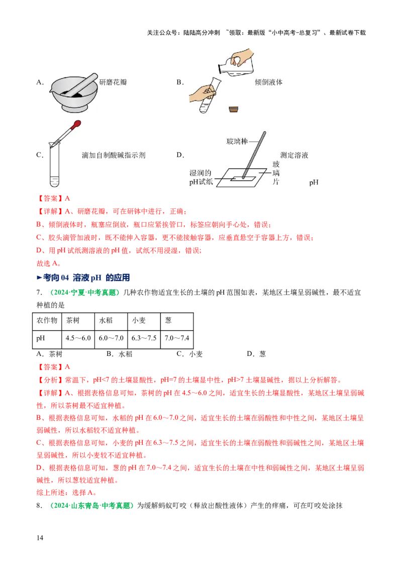 专题09常见的酸和碱（讲义）（解析版）_02中考总复习（2026版更新中）_05-化学-中考总复习_2025年中考复习资料_2025中考化学一轮复习讲义+课件_讲义_专题09常见的酸和碱（讲义）