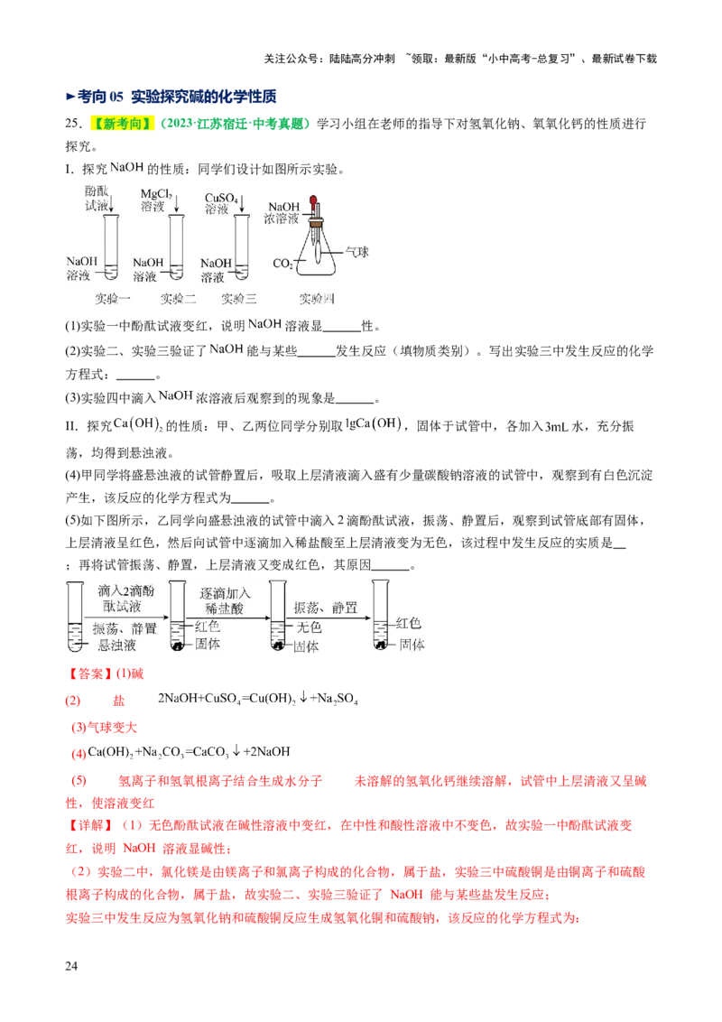 专题09常见的酸和碱（讲义）（解析版）_02中考总复习（2026版更新中）_05-化学-中考总复习_2025年中考复习资料_2025中考化学一轮复习讲义+课件_讲义_专题09常见的酸和碱（讲义）