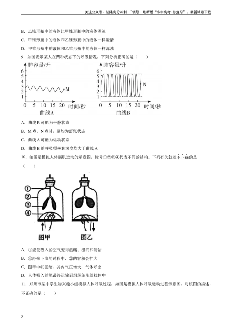 专题11人体的呼吸（习题精练）（全国通用）（原卷版）_02中考总复习（2026版更新中）_08-生物-中考总复习_2024年中考复习资料_一轮复习_配套练习（原卷版+解析版）