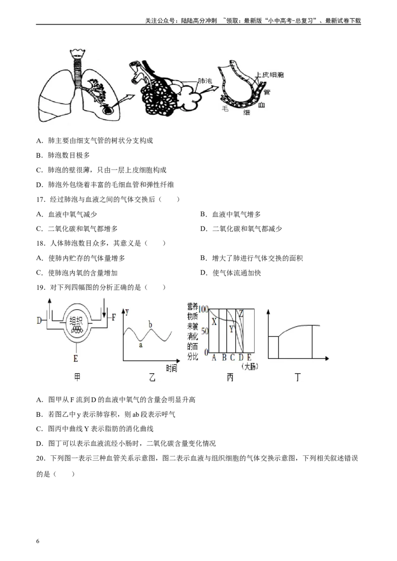 专题11人体的呼吸（习题精练）（全国通用）（原卷版）_02中考总复习（2026版更新中）_08-生物-中考总复习_2024年中考复习资料_一轮复习_配套练习（原卷版+解析版）