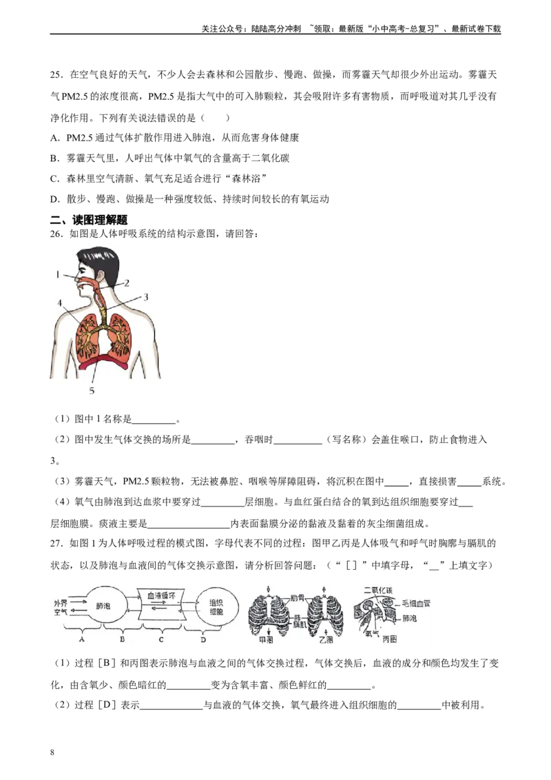 专题11人体的呼吸（习题精练）（全国通用）（原卷版）_02中考总复习（2026版更新中）_08-生物-中考总复习_2024年中考复习资料_一轮复习_配套练习（原卷版+解析版）