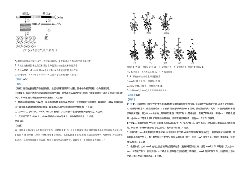 2021年湖南高考生物（新高考）（解析版）_全国卷+地方卷_6.生物_1.生物高考真题试卷_2021年高考-生物_2021年新高考湖南生物_A3Word版