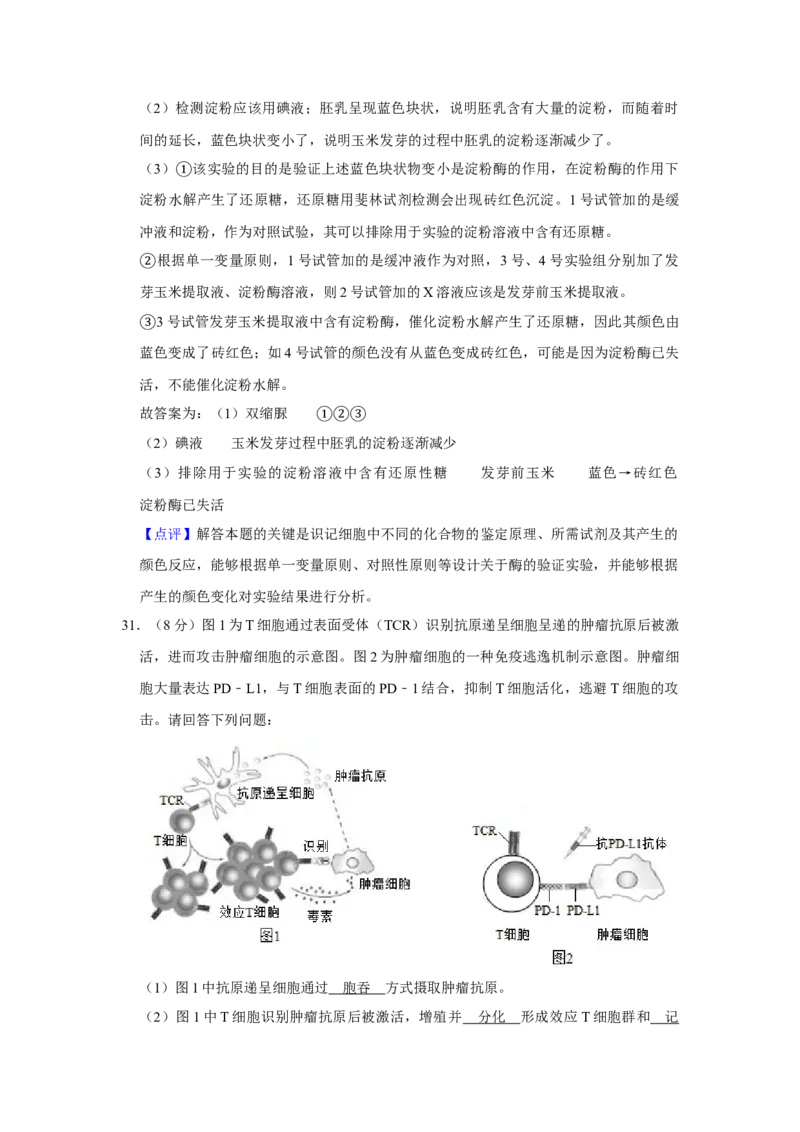 2019年江苏省高考生物试卷解析版_全国卷+地方卷_6.生物_1.生物高考真题试卷_2008-2020年_地方卷_江苏高考生物07-20_A4word版