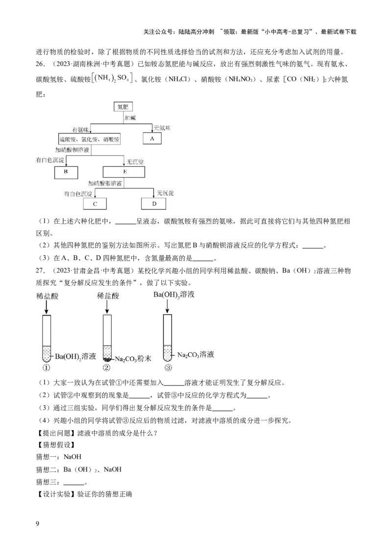 专题09盐和化肥（原卷版）_02中考总复习（2026版更新中）_05-化学-中考总复习_2026年中考复习（更新中）_好题汇编三年（2023-2025）中考化学真题分类汇编（全国通用）
