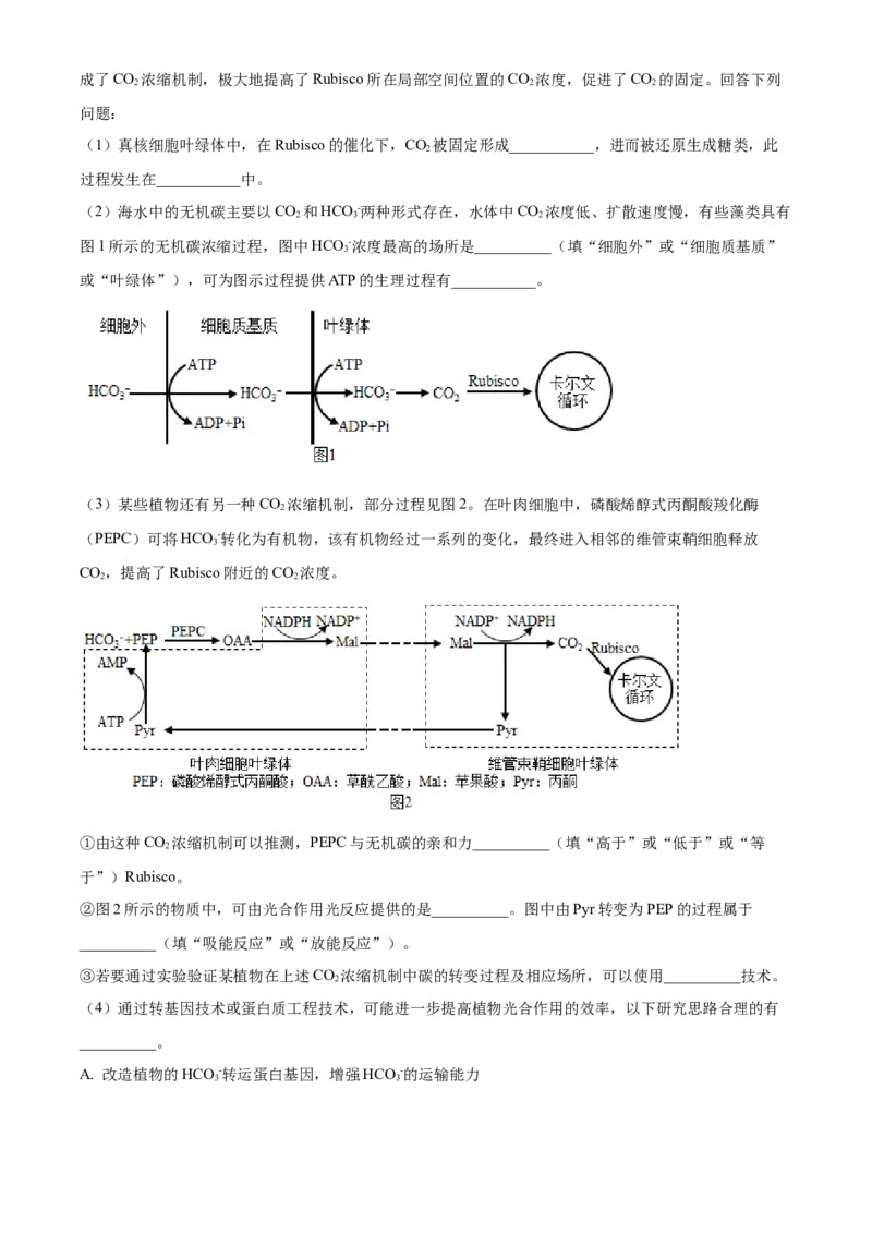 2021年新高考辽宁生物高考真题（解析版）_全国卷+地方卷_6.生物_1.生物高考真题试卷_2021年高考-生物_2021年辽宁生物