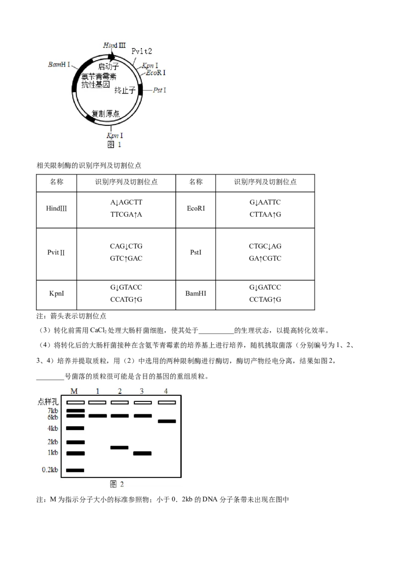 2021年新高考辽宁生物高考真题（解析版）_全国卷+地方卷_6.生物_1.生物高考真题试卷_2021年高考-生物_2021年辽宁生物