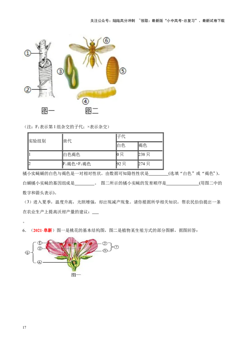 专题12&nbsp;其他生物的生殖和发育（原卷版）_02中考总复习（2026版更新中）_08-生物-中考总复习_2024年中考复习资料_专项复习_完三年（2021-2023）中考生物真题分项汇编（全国通用）