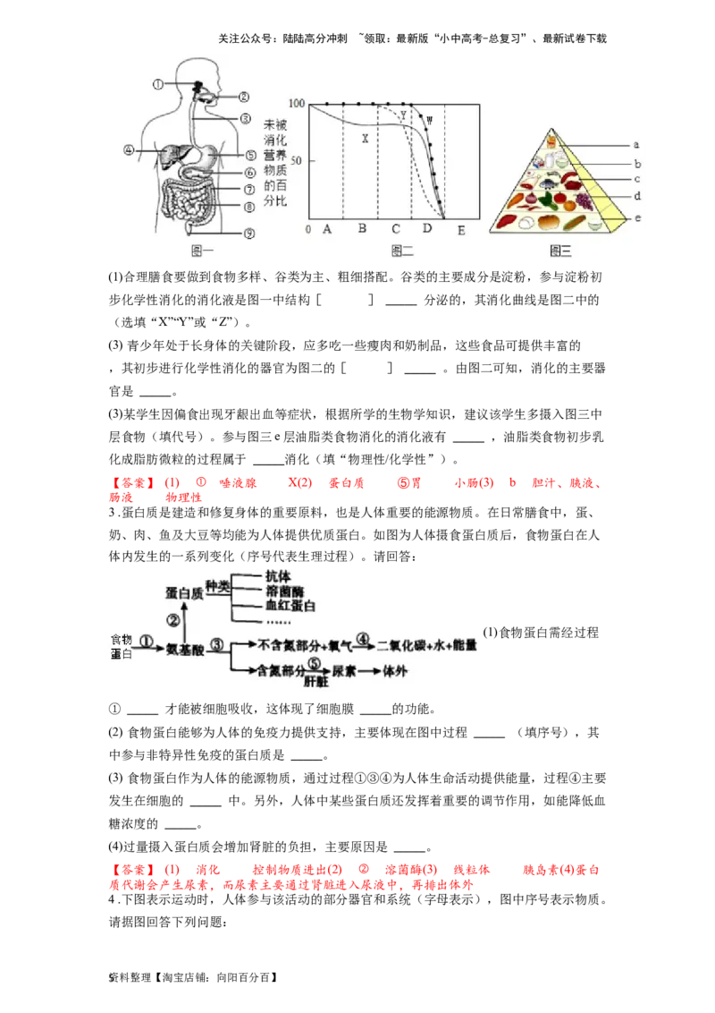 专题12人体的营养（解析版）_02中考总复习（2026版更新中）_08-生物-中考总复习_2024年中考复习资料_一轮复习_配套练习_教师版（含答案解析）