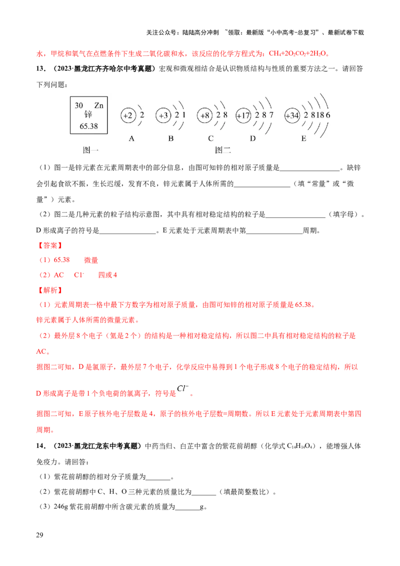 专题10化学式与化学用语（练习）-2024年中考化学一轮复习讲练测（全国通用）（解析版）_02中考总复习（2026版更新中）_05-化学-中考总复习_2024年中考复习资料_一轮复习资料