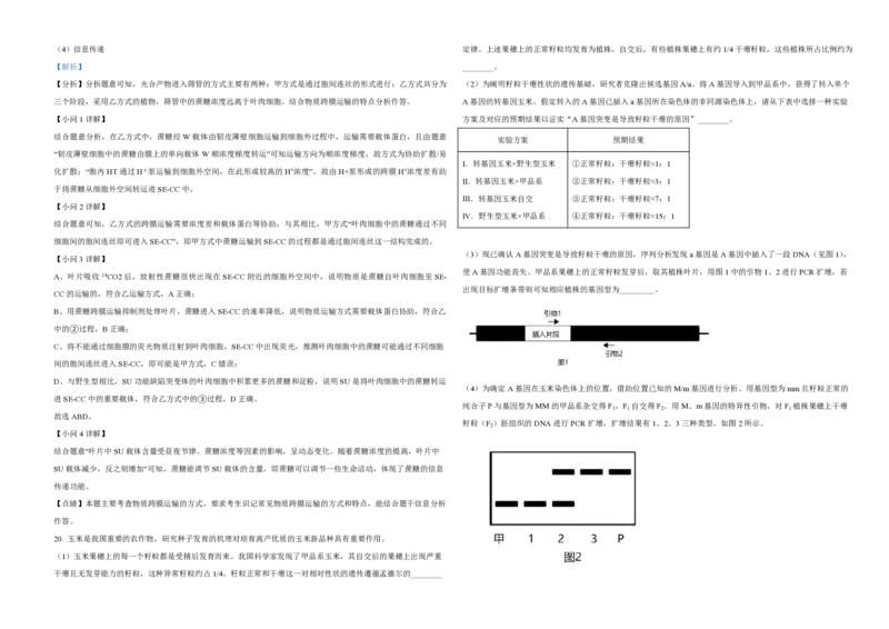 2021年北京市高考生物试卷（解析版）_全国卷+地方卷_6.生物_1.生物高考真题试卷_2008-2020年_地方卷_北京高考生物08-21_A3word版_PDF版(赠送)
