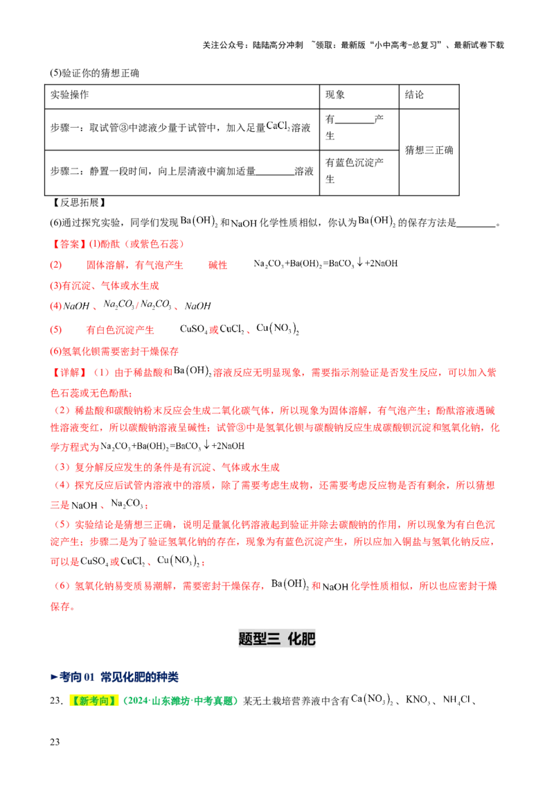 专题10常见的盐（讲义）（解析版）_02中考总复习（2026版更新中）_05-化学-中考总复习_2025年中考复习资料_2025中考化学一轮复习讲义+课件_讲义_专题10常见的盐（讲义）