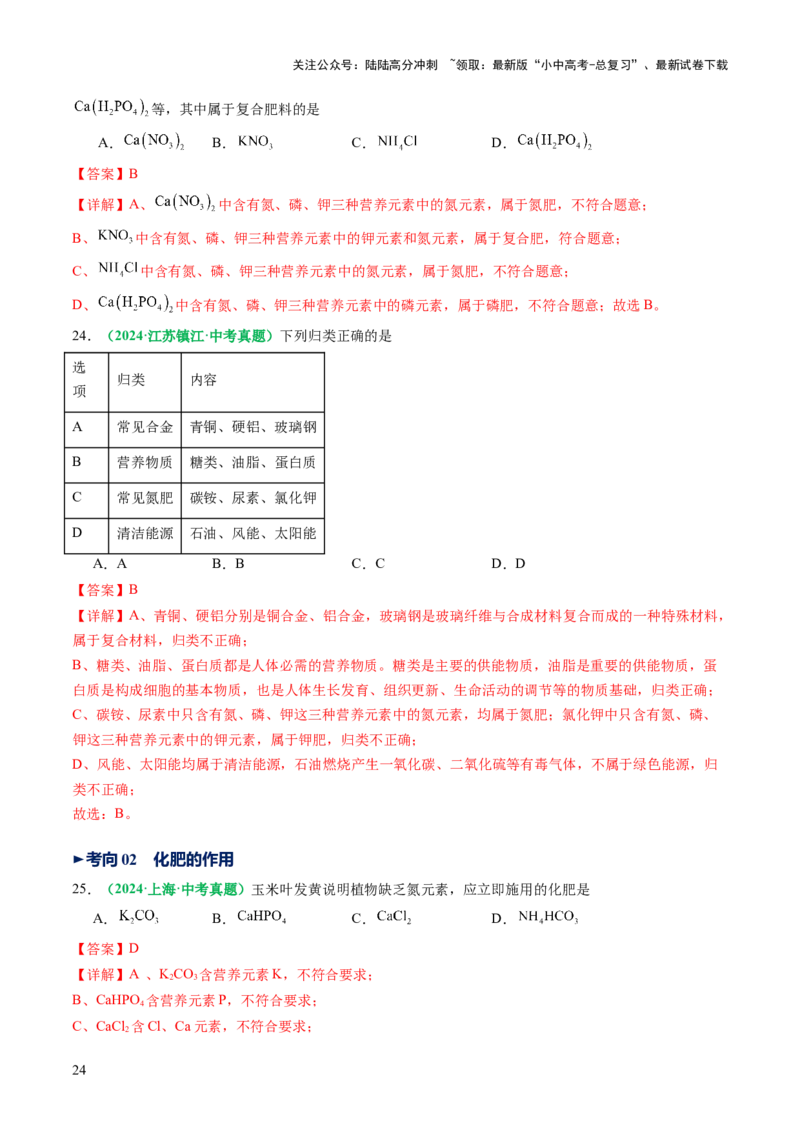 专题10常见的盐（讲义）（解析版）_02中考总复习（2026版更新中）_05-化学-中考总复习_2025年中考复习资料_2025中考化学一轮复习讲义+课件_讲义_专题10常见的盐（讲义）
