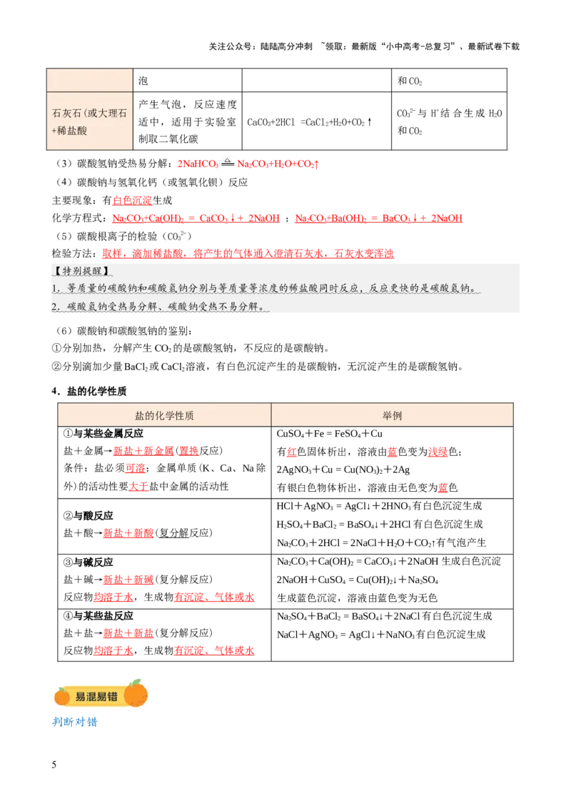 专题10常见的盐（讲义）（解析版）_02中考总复习（2026版更新中）_05-化学-中考总复习_2025年中考复习资料_2025中考化学一轮复习讲义+课件_讲义_专题10常见的盐（讲义）