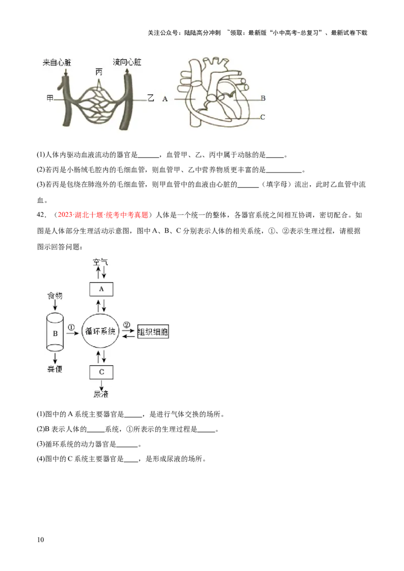 专题12人体内物质的运输（原卷版）_02中考总复习（2026版更新中）_08-生物-中考总复习_2024年中考复习资料_一轮复习_❤备战2024年中考生物一轮复习考点帮（全国通用）_练习