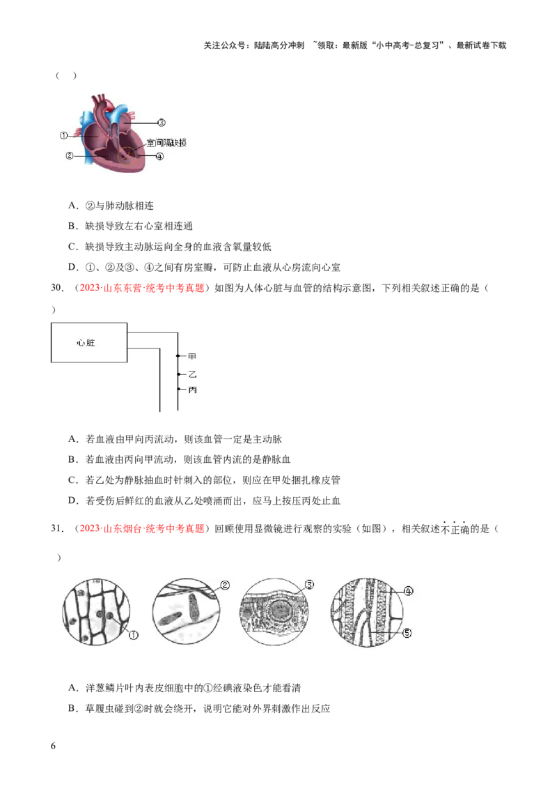 专题12人体内物质的运输（原卷版）_02中考总复习（2026版更新中）_08-生物-中考总复习_2024年中考复习资料_一轮复习_❤备战2024年中考生物一轮复习考点帮（全国通用）_练习