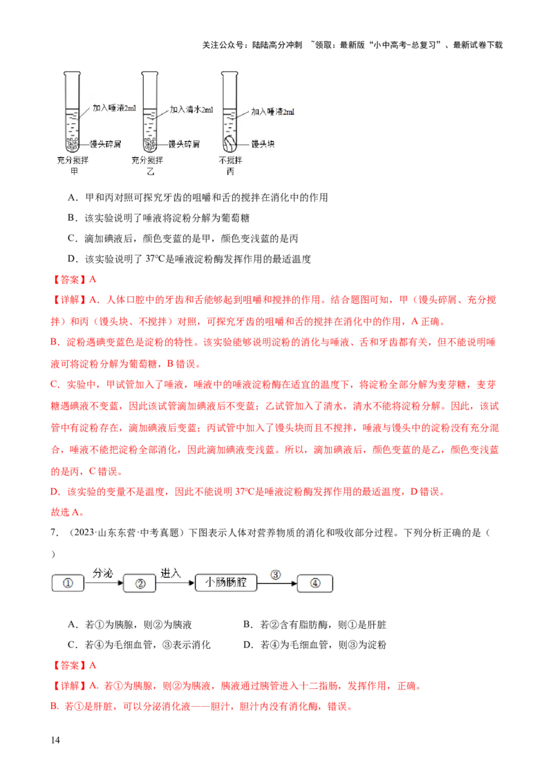 专题10人体的营养（解析版）_02中考总复习（2026版更新中）_08-生物-中考总复习_2024年中考复习资料_一轮复习_❤备战2024年中考生物一轮复习考点帮（全国通用）_练习
