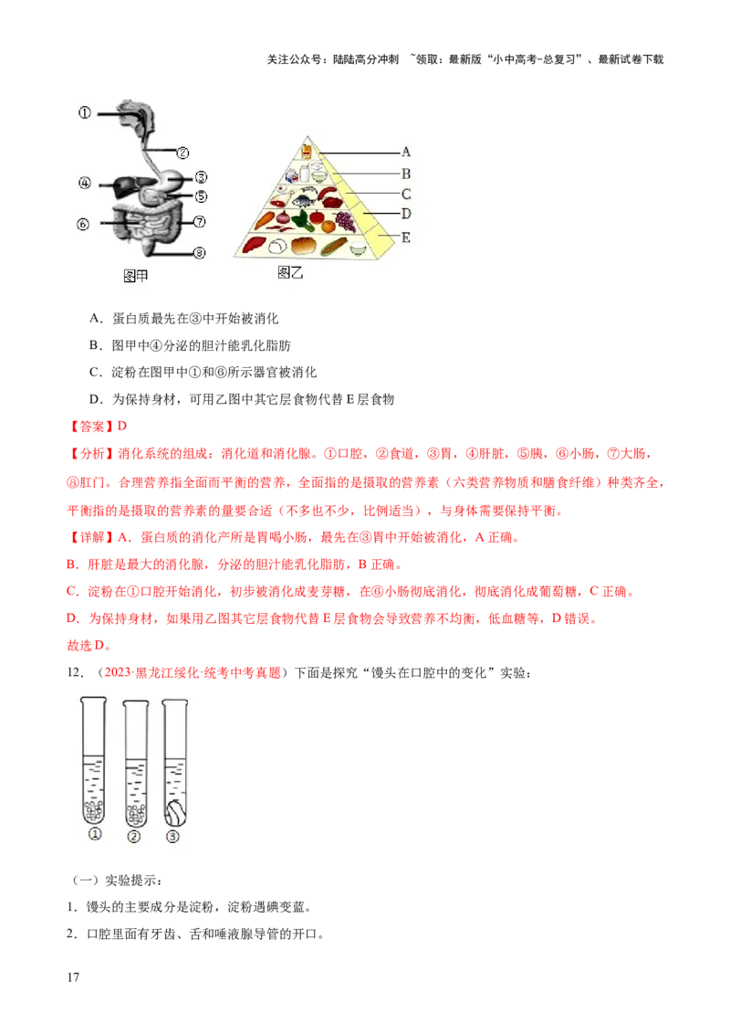 专题10人体的营养（解析版）_02中考总复习（2026版更新中）_08-生物-中考总复习_2024年中考复习资料_一轮复习_❤备战2024年中考生物一轮复习考点帮（全国通用）_练习