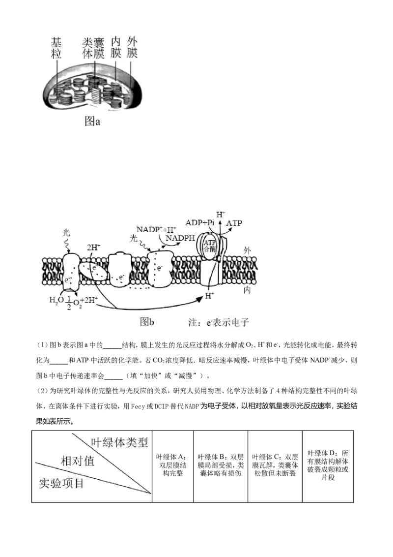 2021年湖南高考生物（新高考）（解析版）_全国卷+地方卷_6.生物_1.生物高考真题试卷_2021年高考-生物_2021年新高考湖南生物_A4Word版