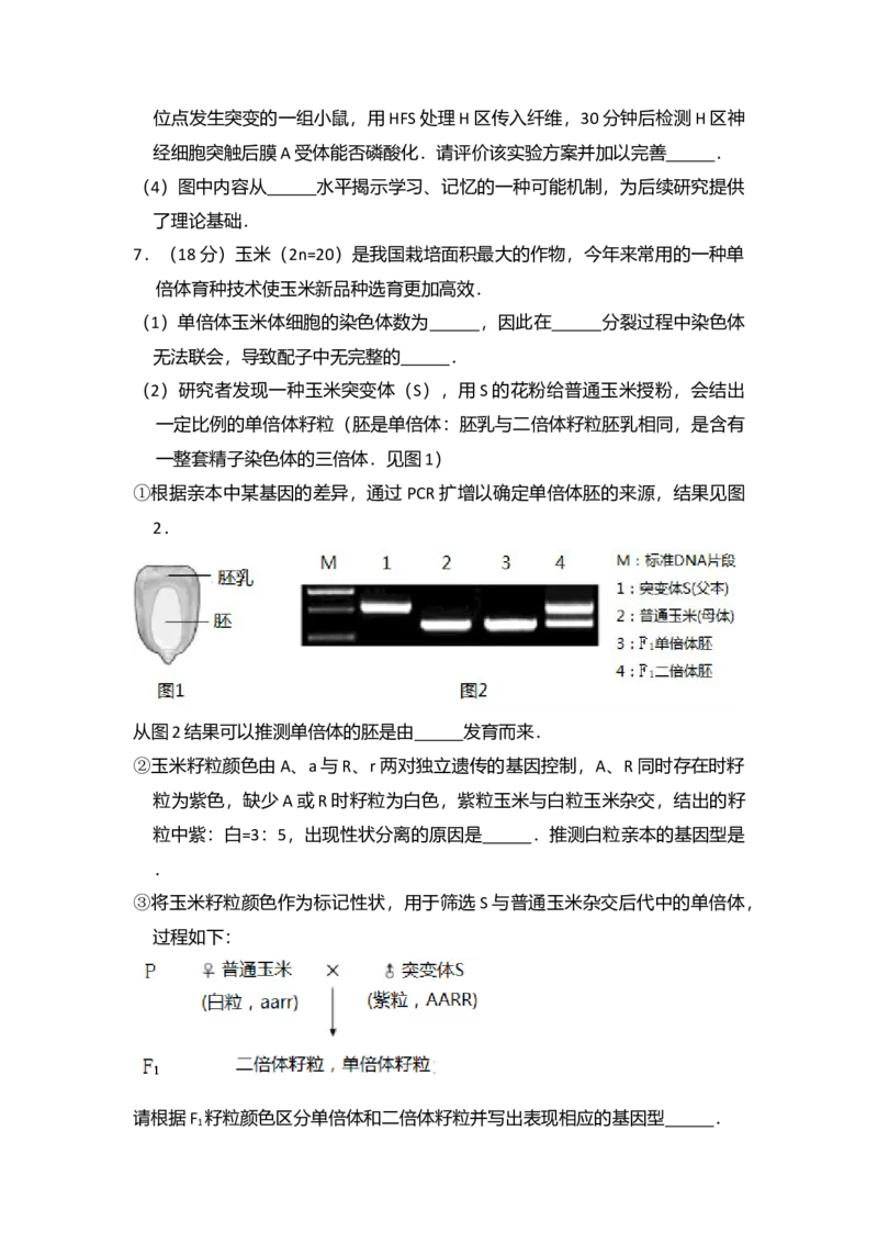 2017年北京市高考生物试卷（原卷版）_全国卷+地方卷_6.生物_1.生物高考真题试卷_2008-2020年_地方卷_北京高考生物08-21_A4word版