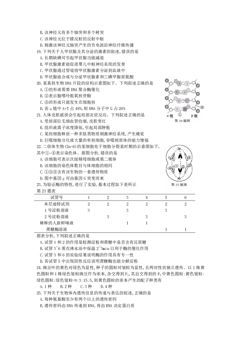 2017年浙江省高考生物11月（原卷版）_全国卷+地方卷_6.生物_1.生物高考真题试卷_2008-2020年_地方卷_浙江高考生物08-21_A4word版_PDF版（赠送）