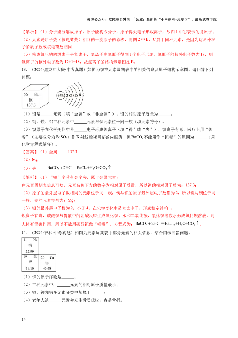 专题11构成物质的微粒元素（练习）（解析版）_02中考总复习（2026版更新中）_05-化学-中考总复习_2025年中考复习资料_2025中考化学一轮复习讲义+课件_练习