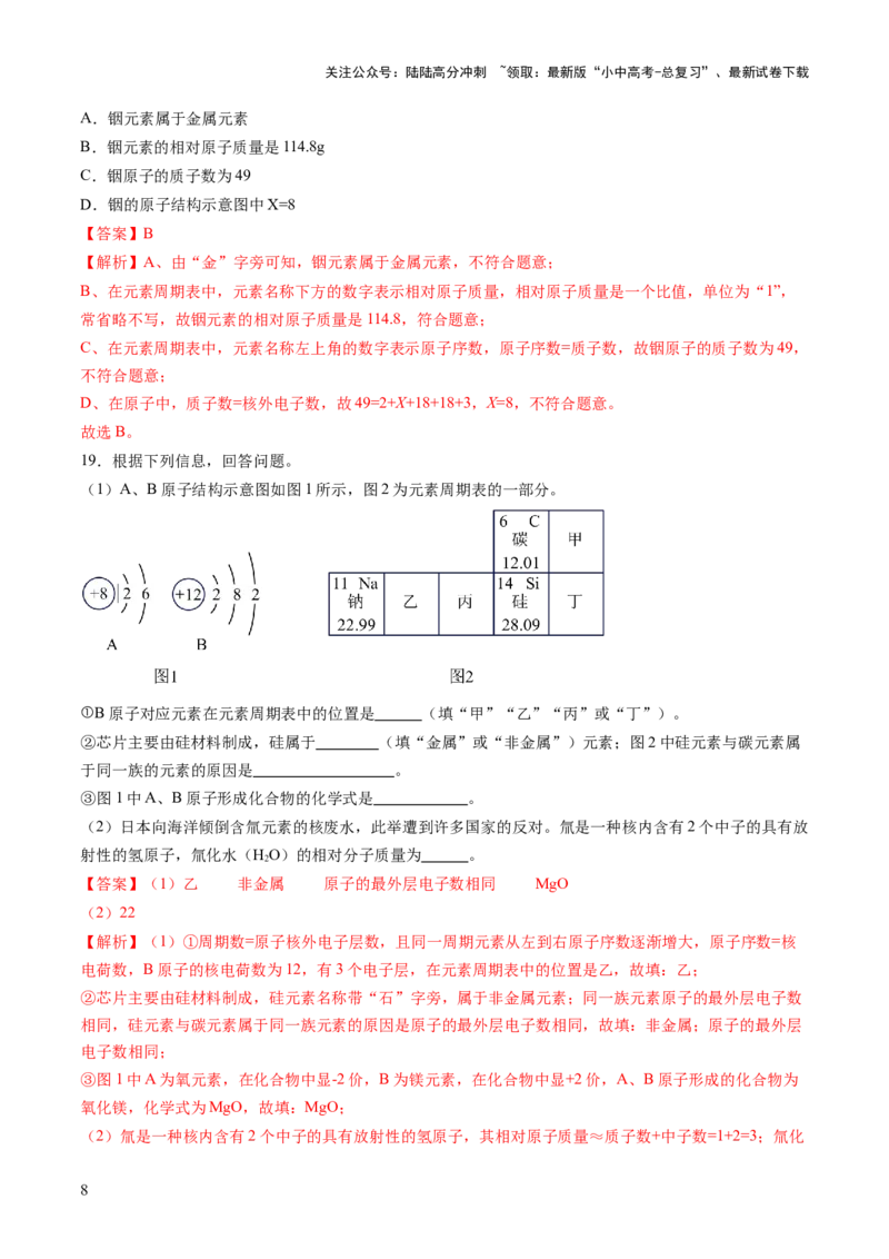专题11构成物质的微粒元素（练习）（解析版）_02中考总复习（2026版更新中）_05-化学-中考总复习_2025年中考复习资料_2025中考化学一轮复习讲义+课件_练习