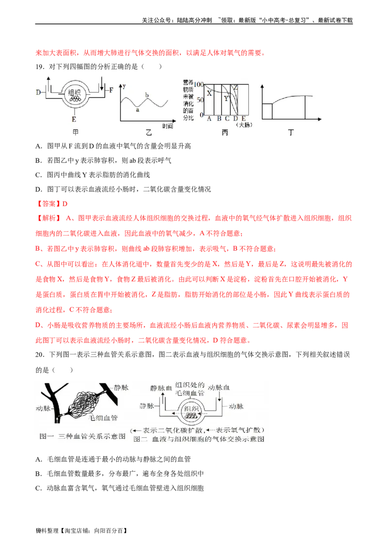 专题11人体的呼吸（习题精练）（全国通用）（解析版）_02中考总复习（2026版更新中）_08-生物-中考总复习_2024年中考复习资料_一轮复习_配套练习（原卷版+解析版）_答案解析版