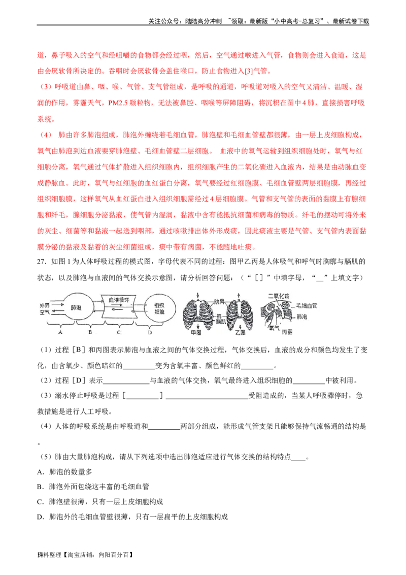 专题11人体的呼吸（习题精练）（全国通用）（解析版）_02中考总复习（2026版更新中）_08-生物-中考总复习_2024年中考复习资料_一轮复习_配套练习（原卷版+解析版）_答案解析版