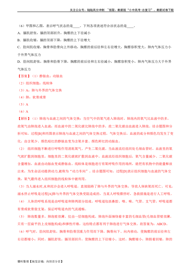 专题11人体的呼吸（习题精练）（全国通用）（解析版）_02中考总复习（2026版更新中）_08-生物-中考总复习_2024年中考复习资料_一轮复习_配套练习（原卷版+解析版）_答案解析版