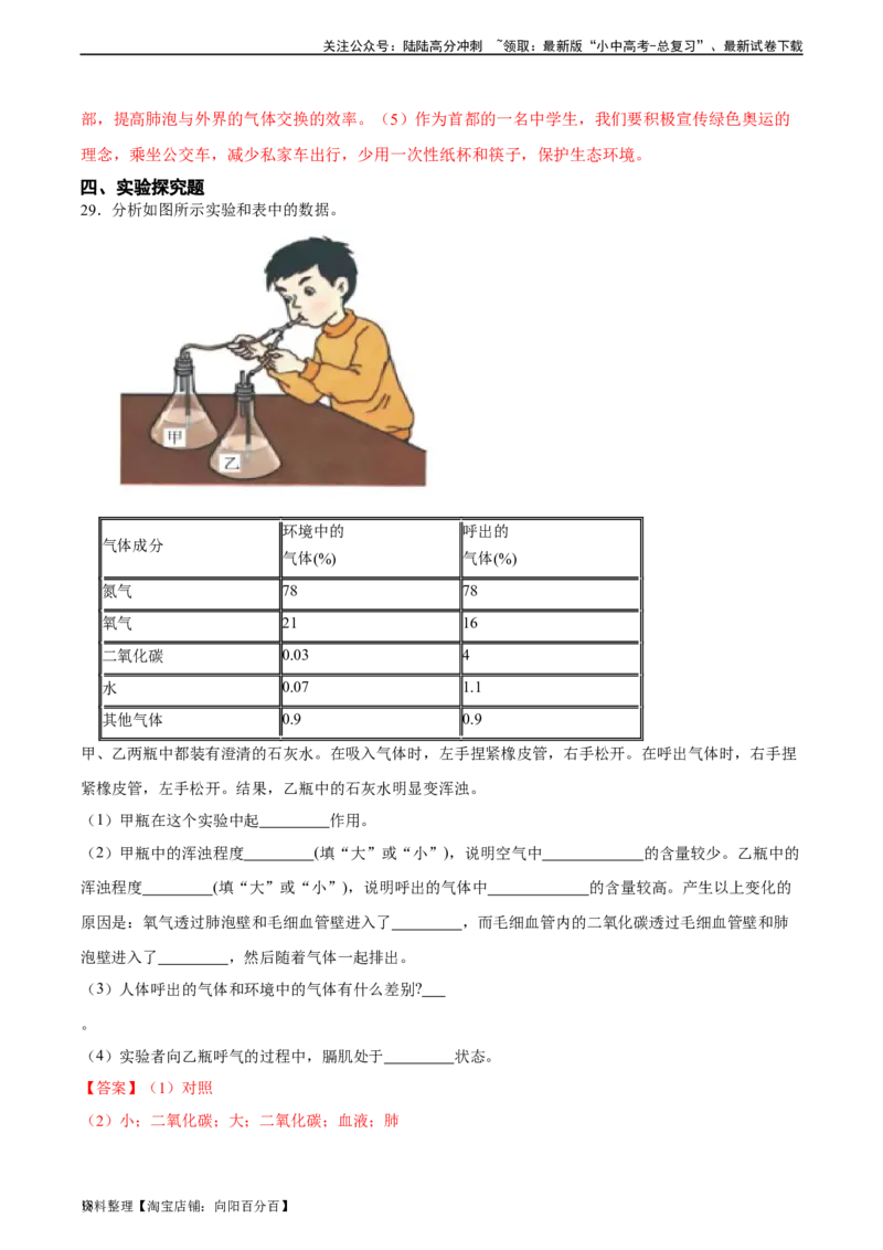 专题11人体的呼吸（习题精练）（全国通用）（解析版）_02中考总复习（2026版更新中）_08-生物-中考总复习_2024年中考复习资料_一轮复习_配套练习（原卷版+解析版）_答案解析版