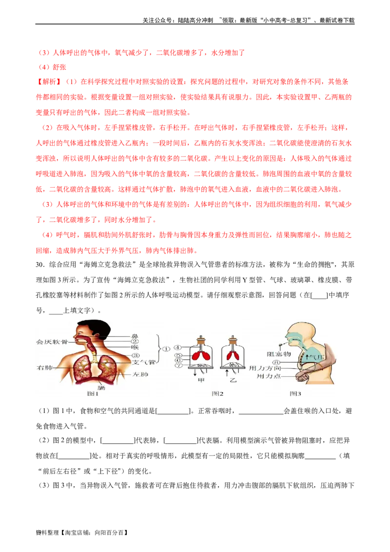 专题11人体的呼吸（习题精练）（全国通用）（解析版）_02中考总复习（2026版更新中）_08-生物-中考总复习_2024年中考复习资料_一轮复习_配套练习（原卷版+解析版）_答案解析版