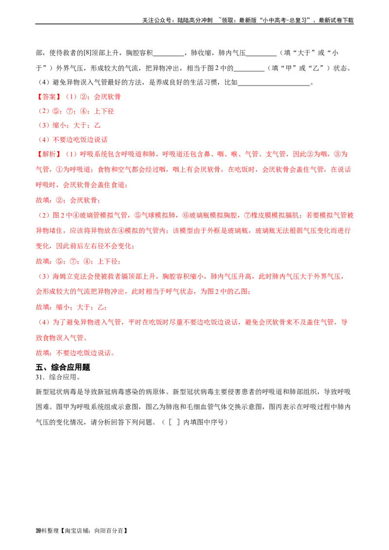 专题11人体的呼吸（习题精练）（全国通用）（解析版）_02中考总复习（2026版更新中）_08-生物-中考总复习_2024年中考复习资料_一轮复习_配套练习（原卷版+解析版）_答案解析版