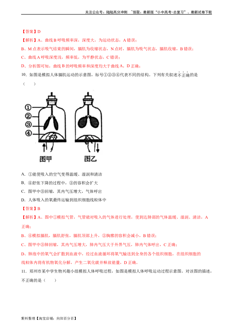 专题11人体的呼吸（习题精练）（全国通用）（解析版）_02中考总复习（2026版更新中）_08-生物-中考总复习_2024年中考复习资料_一轮复习_配套练习（原卷版+解析版）_答案解析版