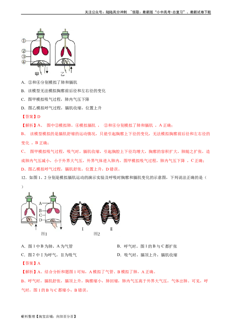 专题11人体的呼吸（习题精练）（全国通用）（解析版）_02中考总复习（2026版更新中）_08-生物-中考总复习_2024年中考复习资料_一轮复习_配套练习（原卷版+解析版）_答案解析版