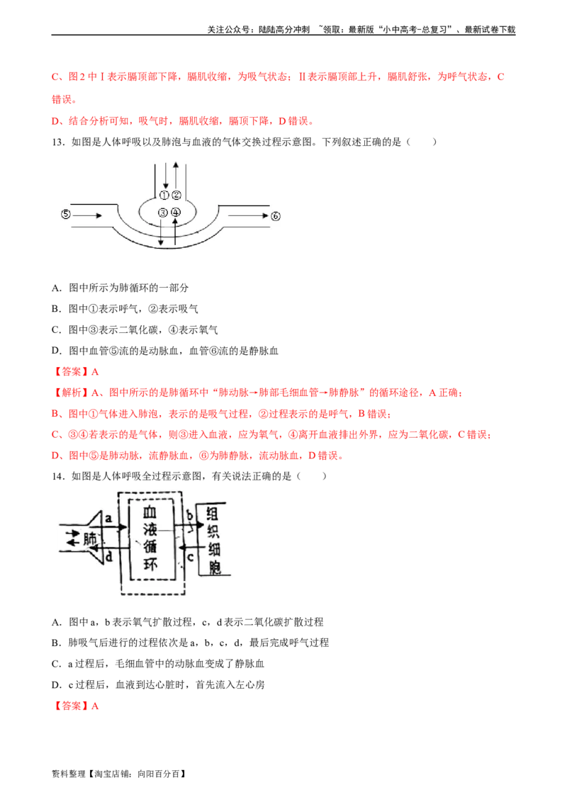 专题11人体的呼吸（习题精练）（全国通用）（解析版）_02中考总复习（2026版更新中）_08-生物-中考总复习_2024年中考复习资料_一轮复习_配套练习（原卷版+解析版）_答案解析版