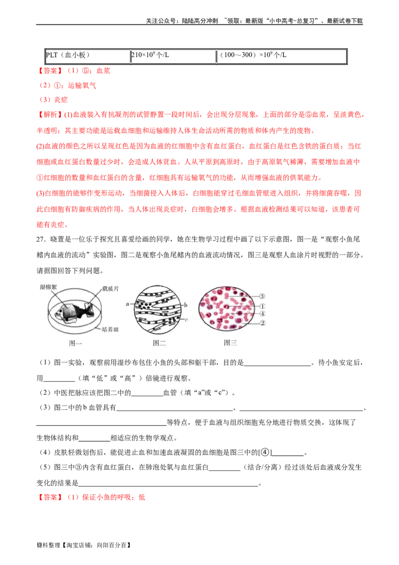 专题12人体内物质的运输（习题精练）（全国通用）（解析版）_02中考总复习（2026版更新中）_08-生物-中考总复习_2024年中考复习资料_一轮复习_配套练习（原卷版+解析版）_答案解析版