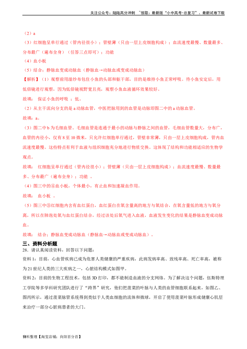 专题12人体内物质的运输（习题精练）（全国通用）（解析版）_02中考总复习（2026版更新中）_08-生物-中考总复习_2024年中考复习资料_一轮复习_配套练习（原卷版+解析版）_答案解析版
