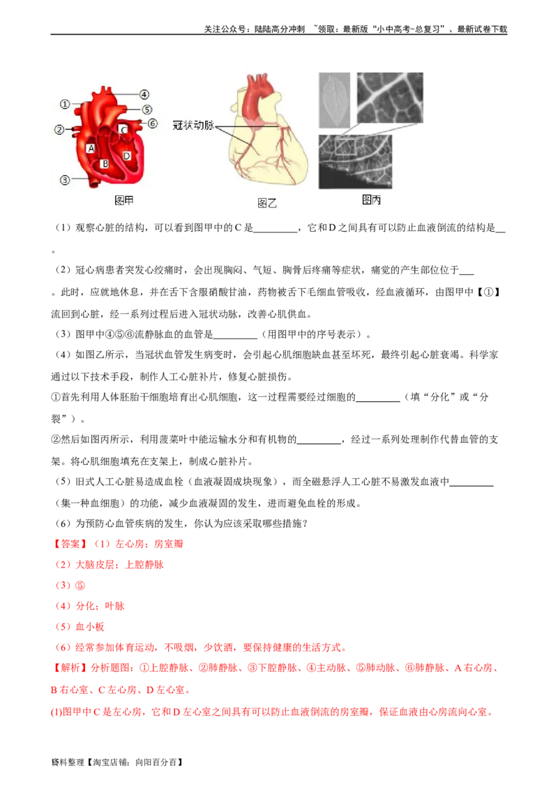 专题12人体内物质的运输（习题精练）（全国通用）（解析版）_02中考总复习（2026版更新中）_08-生物-中考总复习_2024年中考复习资料_一轮复习_配套练习（原卷版+解析版）_答案解析版