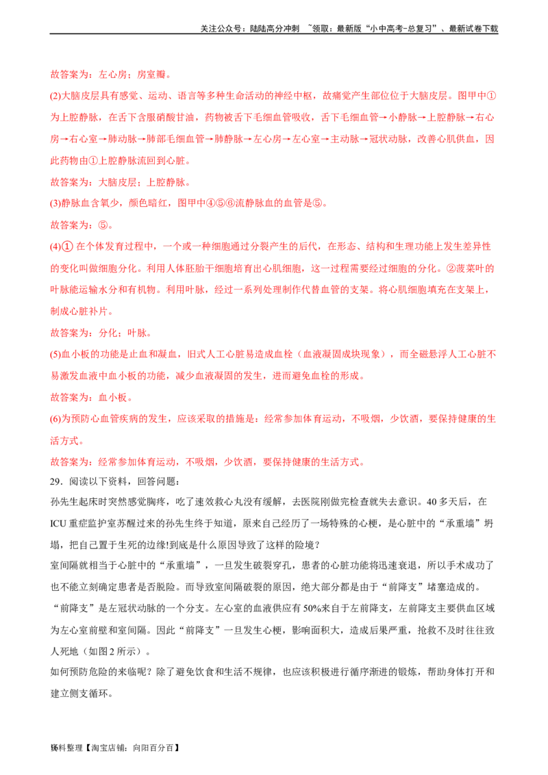 专题12人体内物质的运输（习题精练）（全国通用）（解析版）_02中考总复习（2026版更新中）_08-生物-中考总复习_2024年中考复习资料_一轮复习_配套练习（原卷版+解析版）_答案解析版