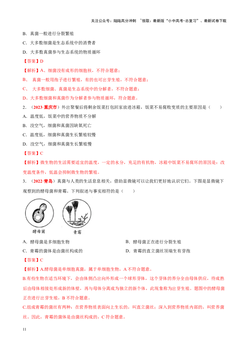 专题10&nbsp;植物、动物和微生物类群（解析版）_02中考总复习（2026版更新中）_08-生物-中考总复习_2024年中考复习资料_专项复习_完三年（2021-2023）中考生物真题分项汇编（全国通用）