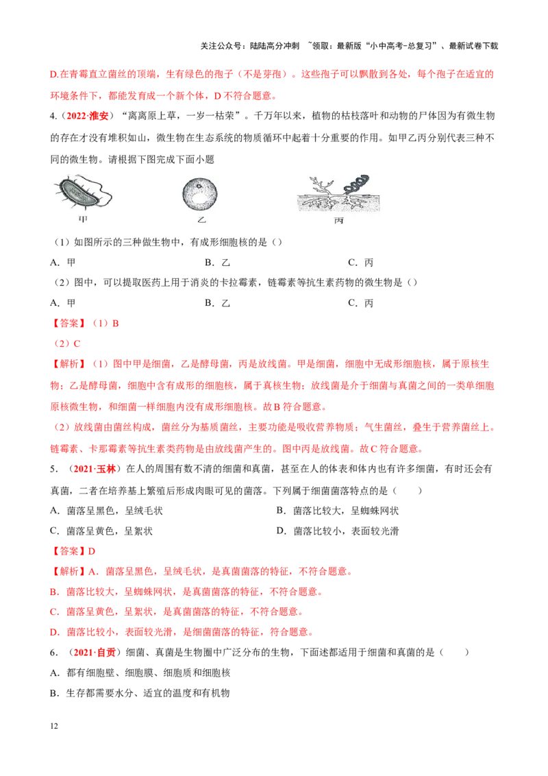 专题10&nbsp;植物、动物和微生物类群（解析版）_02中考总复习（2026版更新中）_08-生物-中考总复习_2024年中考复习资料_专项复习_完三年（2021-2023）中考生物真题分项汇编（全国通用）